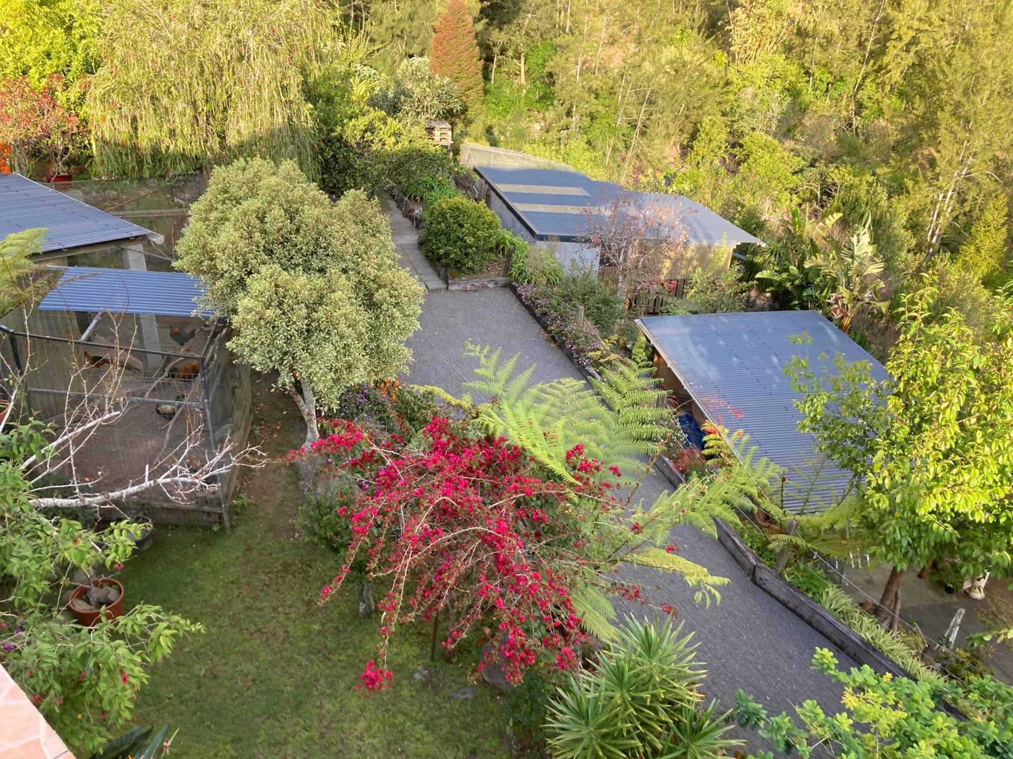Villa Les Begonias Cilaos Exterior foto